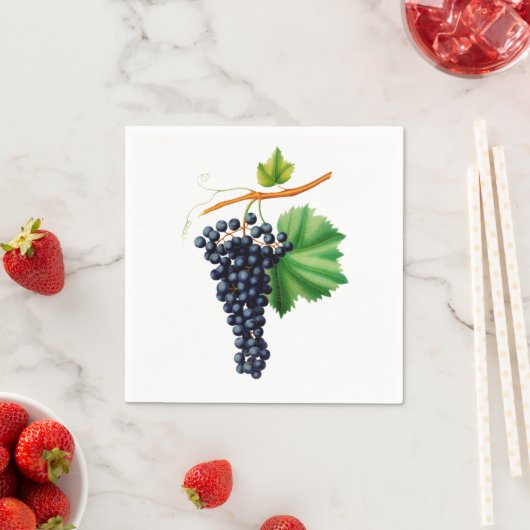  druiven servet (Insitu)