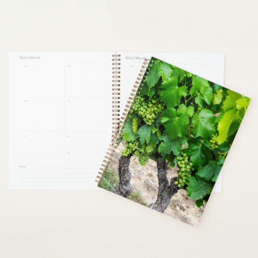 Druiven telen voor wijn, Frankrijk Planner (Display)