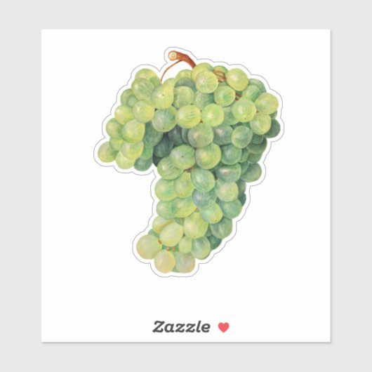 Druiven, tros druiven sticker (Vel)