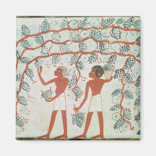 Druiven uit de Tomb of Nakht Magneet