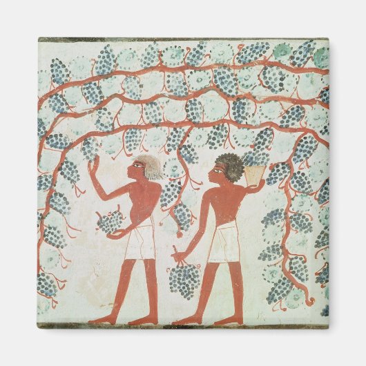 Druiven uit de Tomb of Nakht Magneet (Voorkant)