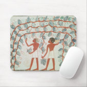 Druiven uit de Tomb of Nakht Muismat (Met muis)