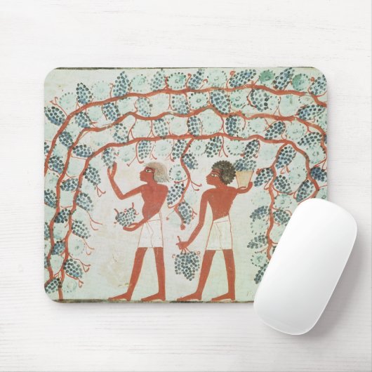 Druiven uit de Tomb of Nakht Muismat (Met muis)