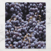 Druiven uit Frankrijk Wijn Etiket (Enkel label)