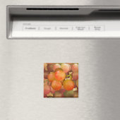 Druiven Un-Wrath Magneet (Insitu (Vaatwasser))