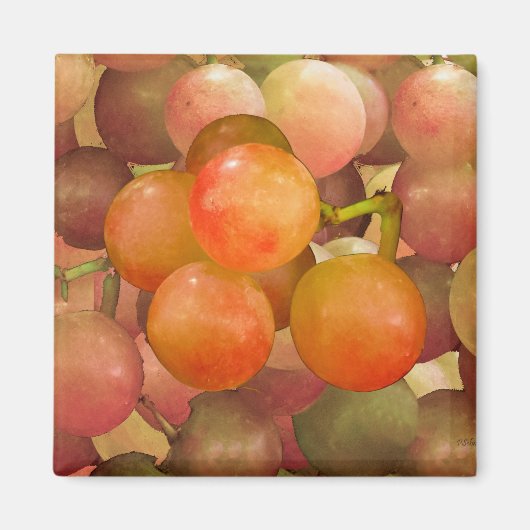 Druiven Un-Wrath Magneet (Voorkant)