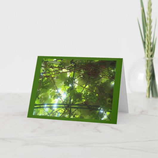 Druiven van geduld met de grens kaart (Voorkant)