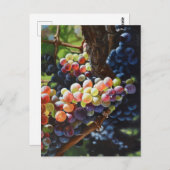 Druiven van overvloed voor wijnliefhebbers en wijn briefkaart (Voorkant / Achterkant)