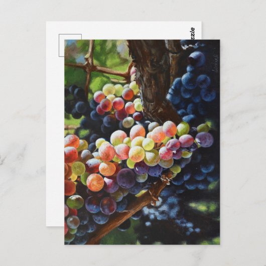 Druiven van overvloed voor wijnliefhebbers en wijn briefkaart (Voorkant / Achterkant)