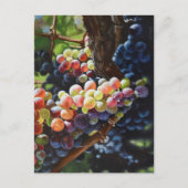 Druiven van overvloed voor wijnliefhebbers en wijn briefkaart (Voorkant)