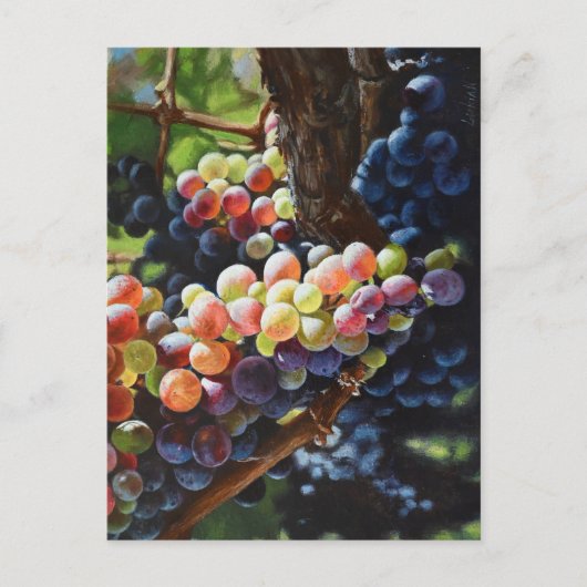 Druiven van overvloed voor wijnliefhebbers en wijn briefkaart (Voorkant)