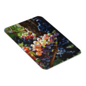 Druiven van overvloed voor wijnliefhebbers en wijn magneet (Rechterzijde)