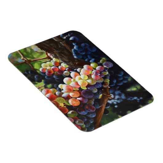 Druiven van overvloed voor wijnliefhebbers en wijn magneet (Rechterzijde)