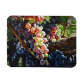 Druiven van overvloed voor wijnliefhebbers en wijn magneet (Horizontaal)