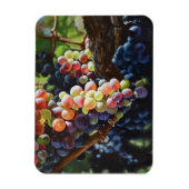 Druiven van overvloed voor wijnliefhebbers en wijn magneet (Verticaal)