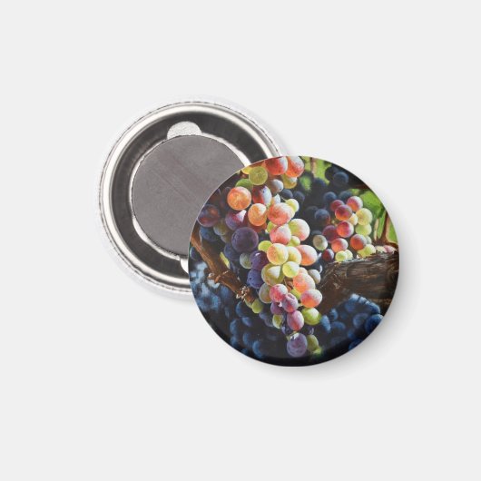 Druiven van overvloed voor wijnliefhebbers en wijn magneet (Voorkant / Achterkant)