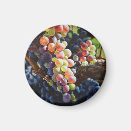 Druiven van overvloed voor wijnliefhebbers en wijn magneet