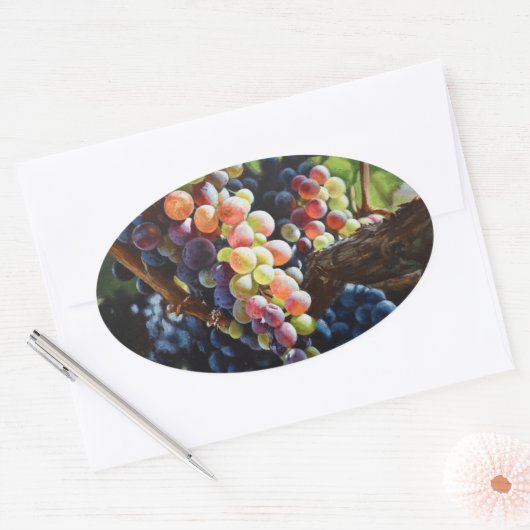Druiven van overvloed voor wijnliefhebbers en wijn ovale sticker (Envelop)