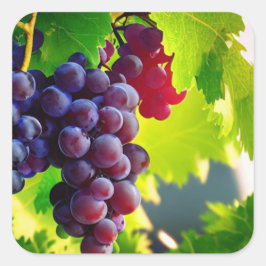 druiven vierkante sticker