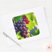 druiven vierkante sticker (Envelop)