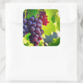 druiven vierkante sticker (Tas)