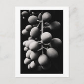 druiven voor een zure dag briefkaart (Voorkant)