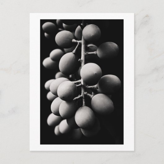 druiven voor een zure dag briefkaart (Voorkant)