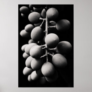 druiven voor een zure dag poster