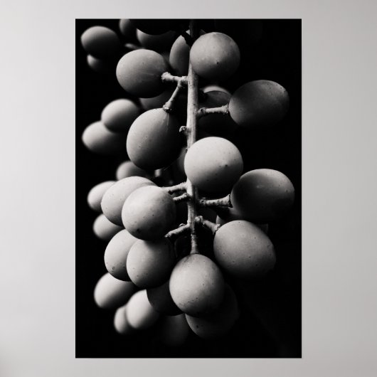 druiven voor een zure dag poster (Voorkant)
