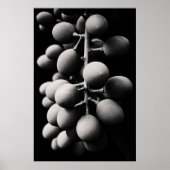 druiven voor een zure dag poster (Voorkant)
