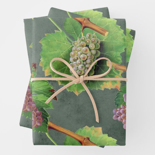  druiven voor groen en Paars op wijnstokken Inpakpapier Vel (In situ)