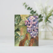 Druiven, vruchten van de wijnbereiding briefkaart (Staand voorkant)