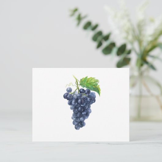Druiven. Waterverf. Briefkaart (Staand voorkant)