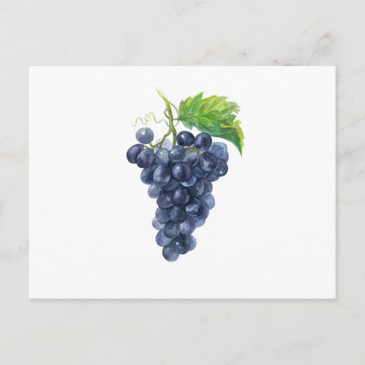 Druiven. Waterverf. Briefkaart (Voorkant)