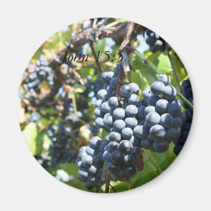 druiven wijngaard john 15:5 magneet