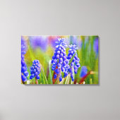 Druivenhyacinths Canvas Afdruk (Voorkant)
