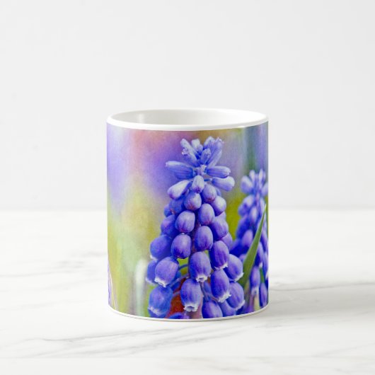 Druivenhyacinths Koffiemok (Center)