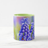 Druivenhyacinths Mok (Midden)