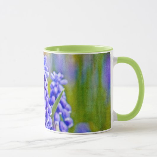 Druivenhyacinths Mok (Rechts)