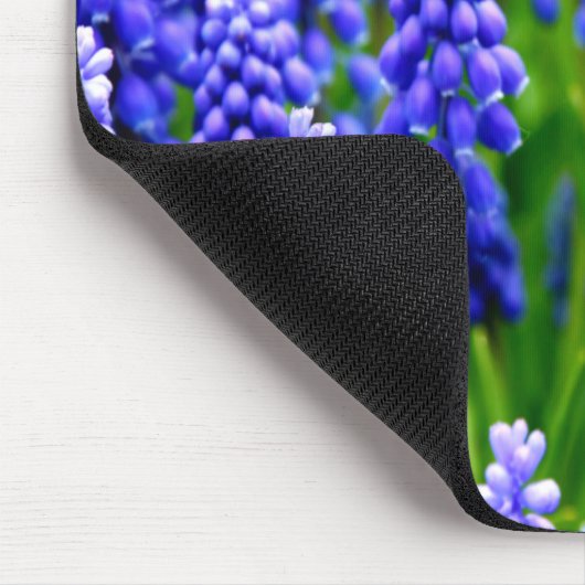 Druivenhyacinths Muismat (Hoek)