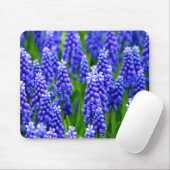 Druivenhyacinths Muismat (Met muis)