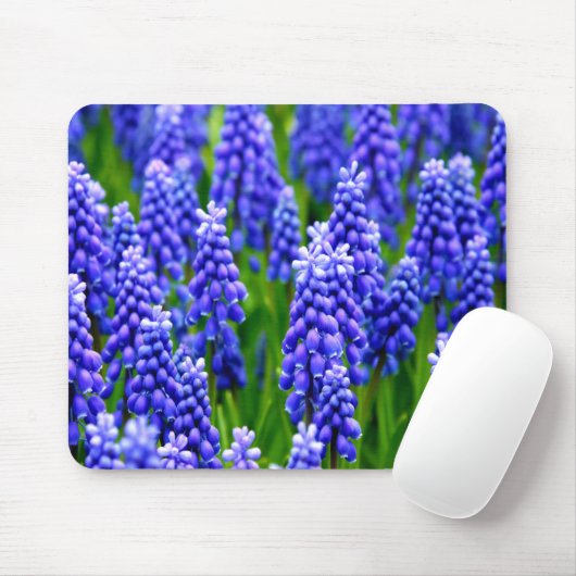 Druivenhyacinths Muismat (Met muis)