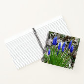 Druivenhyacinths... Notitieboek (Binnen)