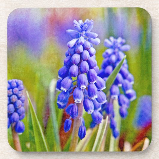 Druivenhyacinths Onderzetter (Voorkant)
