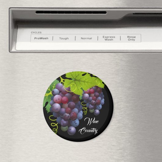 Druivenmagnet Magneet (Insitu (Vaatwasser))