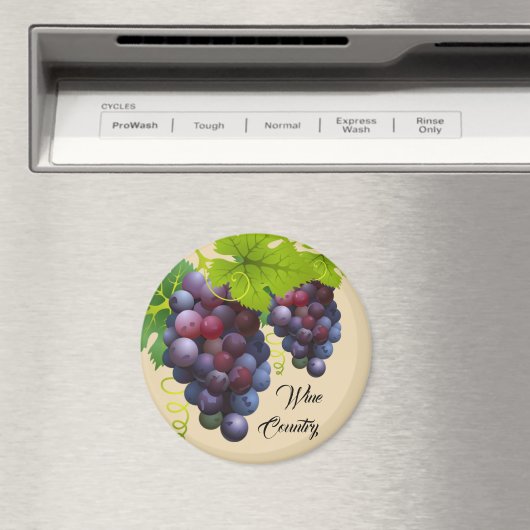 Druivenmagnet Magneet (Insitu (Vaatwasser))