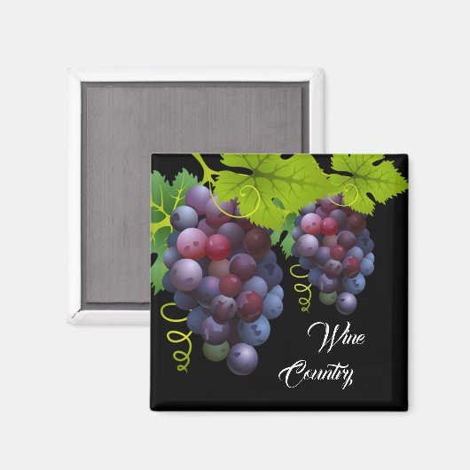 Druivenmagnet Magneet (Voorkant / Achterkant)