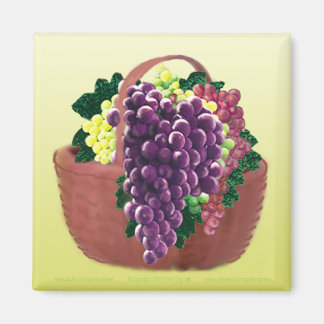 DRUIVENMAND SQ Magnet