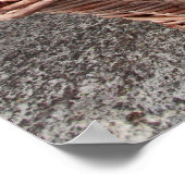 Druivenoogst Poster (Hoek)