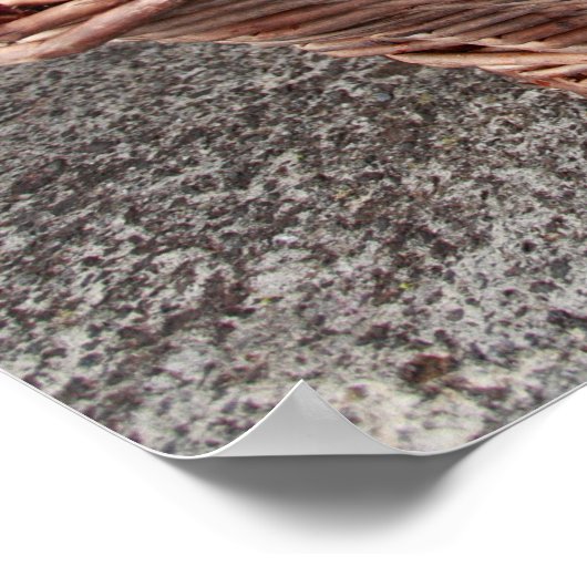 Druivenoogst Poster (Hoek)